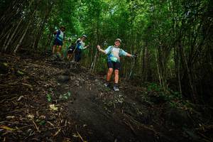 BIB: 
                            <button type="button" onclick="openModal(25100146)" class="btn btn-primary btn-sm float-right btn-popup" data-toggle="modal" data-target=".modal-high-quality">
                        <i class="fas fa-shopping-cart"></i> Add to Cart
                    </button>
                                            <button type="button" onclick="isThisMe(25100146, true)" class="btn btn-success btn-sm float-right btn-popup btn-isme hidden" data-toggle="tooltip" data-placement="bottom" title="นี่คือรูปของคุณใช่ไหม คลิกที่นี่เพื่อเอาเข้าอัลบั้ม">
                        <i class="fas fa-plus"></i> Add to album
                    </button>
                    <button type="button" onclick="isThisMe(25100146, false)" class="btn btn-warning btn-sm float-right btn-popup btn-isnotme hidden">
                        <i class="fas fa-ban"></i> Remove from album
                    </button>